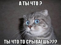 а ты что ? ты что то срываешь???