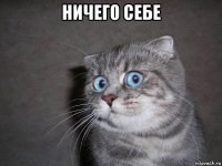 ничего себе 