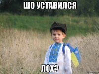 шо уставился лох?