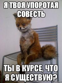 я твоя упоротая совесть ты в курсе, что я существую?