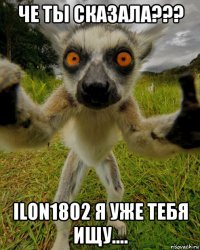 че ты сказала??? ilon1802 я уже тебя ищу....