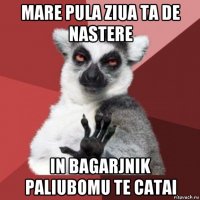 mare pula ziua ta de nastere in bagarjnik paliubomu te catai