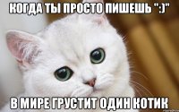 Когда ты просто пишешь ":)" в мире грустит один котик