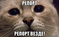 репорт репорт везде!