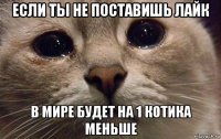 если ты не поставишь лайк в мире будет на 1 котика меньше