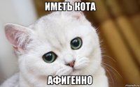 иметь кота афигенно