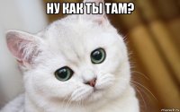 ну как ты там? 