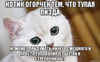 котик огорчен тем, что тупая пизда не может придумать ничего смешного и просто тупо копирует шутки и стрелочничает