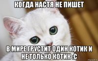 когда настя не пишет в мире грустит один котик и не только котик :с