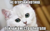 не огорчай котика пей чай вместо алкоголя