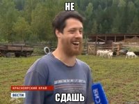 не сдашь