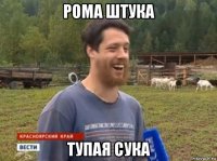 рома штука тупая сука