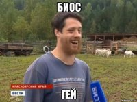 биос гей