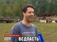  всдласть