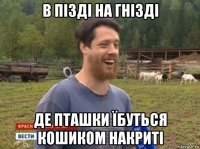 в пізді на гнізді де пташки їбуться кошиком накриті