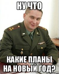 ну что какие планы на новый год?