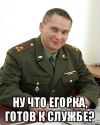  Ну что егорка, готов к службе?