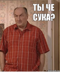 ты че сука?