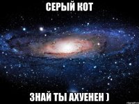 СЕРЫЙ КОТ ЗНАЙ ТЫ АХУЕНЕН )