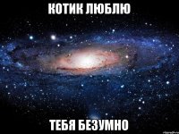 котик люблю тебя безумно