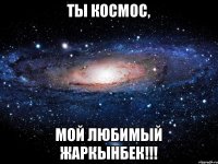 Ты КОСМОС, мой любимый ЖАРКЫНБЕК!!!