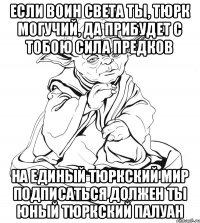 если воин света ты, Тюрк могучий, да прибудет с тобою сила предков на Единый Тюркский Мир подписаться должен ты юный Тюркский палуан