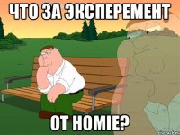 что за эксперемент от Homie?