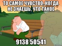 То самое чувство, когда не знаешь, что такое 9138 50541