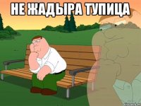 Не жадыра тупица 