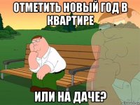 отметить новый год в квартире или на даче?