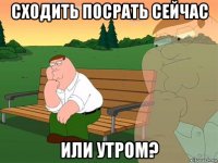 сходить посрать сейчас или утром?