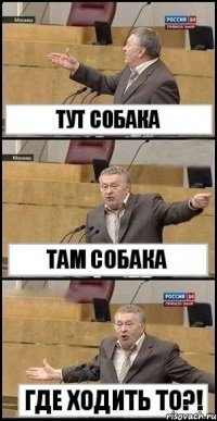 тут собака там собака где ходить то?!