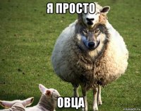 я просто овца