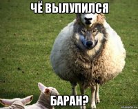 чё вылупился баран?