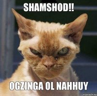 Shamshod!! Ogzinga ol nahhuy