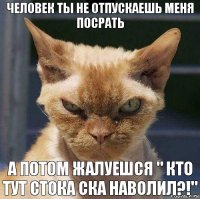 Человек ты не отпускаешь меня посрать А потом жалуешся " кто тут стока ска наволил?!"