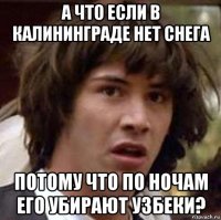 а что если в калининграде нет снега потому что по ночам его убирают узбеки?