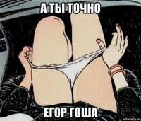 а ты точно егор гоша