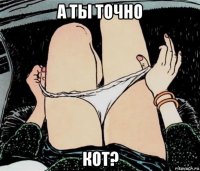 а ты точно кот?