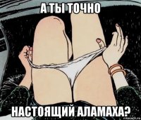 а ты точно настоящий аламаха?