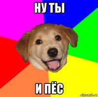 ну ты и пёс