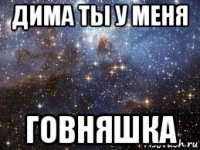 дима ты у меня говняшка