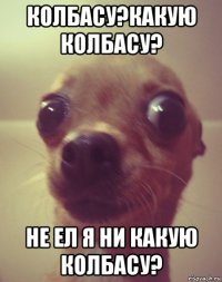 колбасу?какую колбасу? не ел я ни какую колбасу?