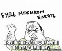  выучи наизусть формулы по страдомскому