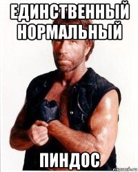 единственный нормальный пиндос