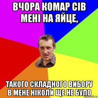 вчора комар сів мені на яйце, такого складного вибору в мене ніколи ще не було