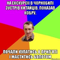 на екскурсіі в чорнобилі зустрів китайців. показав кобру. почали купатись в прип'яті і маститись болотом