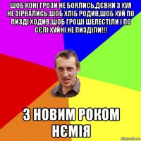 шоб коні грози не боялись,дєвки з хуя не зірвались.шоб хліб родив,шоб хуй по пизді ходив.шоб гроші шелестіли і по сєлі хуйні не пизділи!!! з новим роком нємія