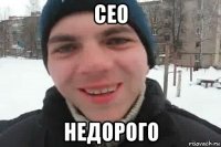 сео недорого