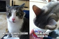 Может, я снюсь своему коту? Да не, бред какой-то